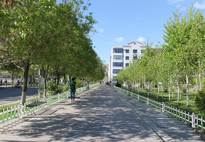 上海草坪護(hù)欄